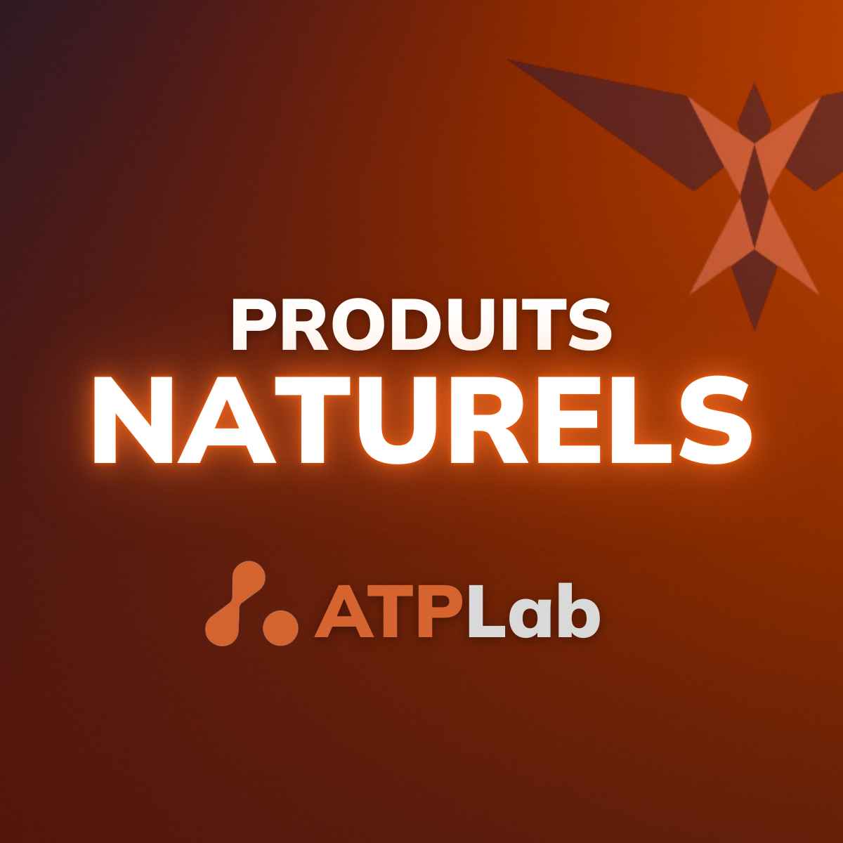 60 recettes santé pour transformer votre quotidien (1200 x 1200 px)