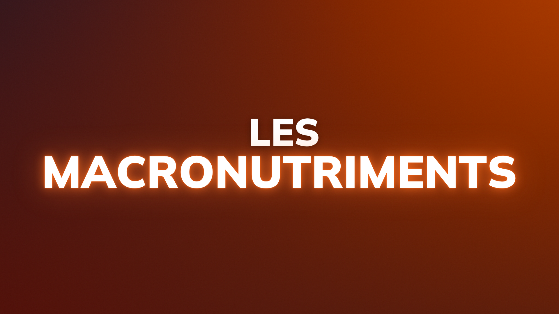Macronutriments protéines glucides et lipides